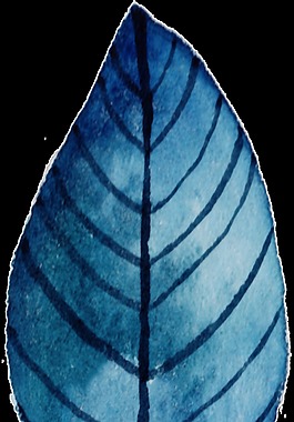 深藍色紋理樹葉免扣透明素材