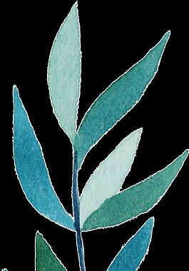 簡約藍綠色樹葉免扣透明素材