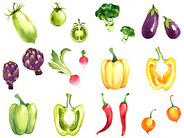 手繪清新蔬菜插畫(huà)