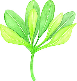 創(chuàng)意手繪綠葉矢量素材