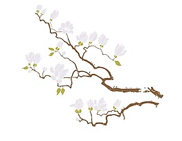 卡通白色鮮花樹枝png元素