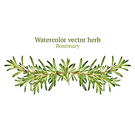 時尚清新植物插畫