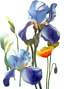 藍(lán)色花朵png元素