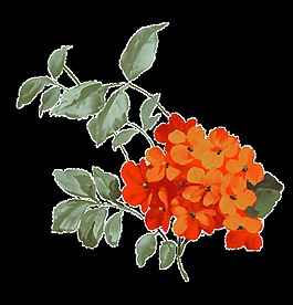 中國風(fēng)古典紅色花朵裝飾元素