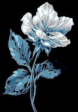 水墨中國風(fēng)古典花朵裝飾元素