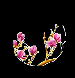 粉色桃花裝飾元素圖片