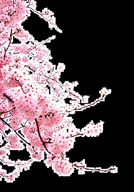 浪漫中國風(fēng)彩繪粉色花朵元素