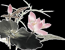 中國風(fēng)水墨荷花元素