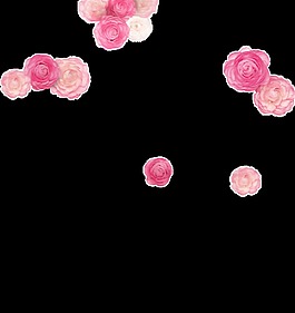 中國(guó)風(fēng)花朵裝飾元素