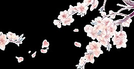 簡約桃花裝飾元素圖片
