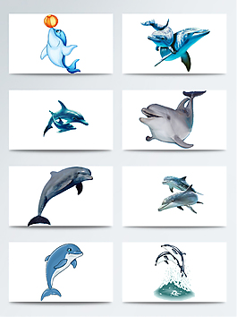 海豚海獅表演透明素材合集