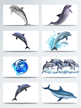 简单简约海豚蓝色透明素材合集