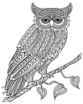 時(shí)尚花紋藝術(shù)貓頭鷹插畫