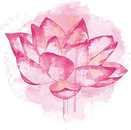 彩繪粉色蓮花png元素