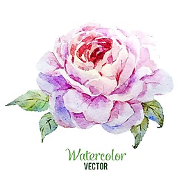 时尚唯美牡丹插画