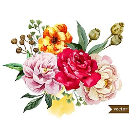 唯美水彩繪玫瑰花插畫