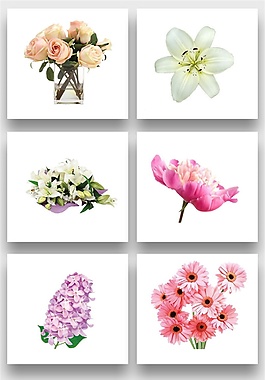 浪漫鮮花花朵png免扣