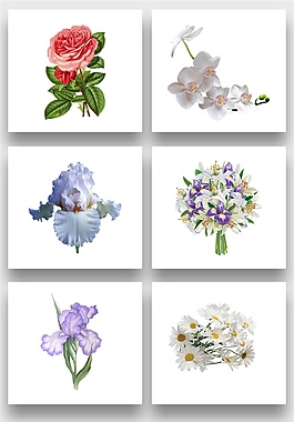 鮮花花朵png免扣