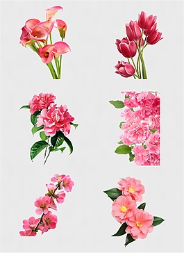 粉色鮮花花束免扣PNG花朵素材1