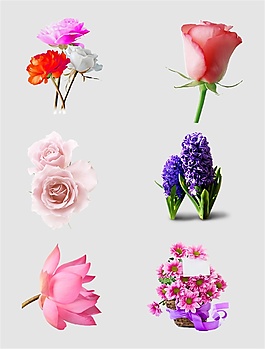 粉色鮮花免扣PNG花朵素材24