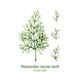 水彩繪清新香草插畫