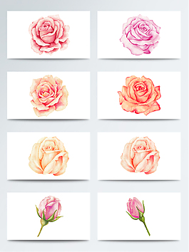 水彩美麗鮮花PNG免扣合集