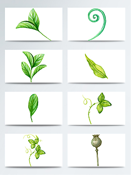 水彩綠色樹葉茶葉PNG免扣合集