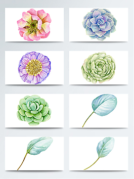 水彩逼真鮮花PNG免扣合集