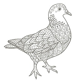 手繪小鳥圖案素材