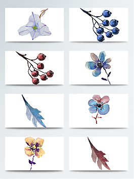 水彩鮮花和果實PNG免扣合集
