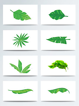 卡通手绘热带植物芭蕉叶子PNG元素