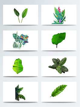 植物葉子綠色卡通手繪芭蕉PNG元素