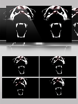 怒吼的熊動態視頻素材