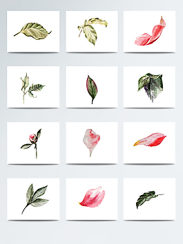 水彩精致花瓣免扣素材合集