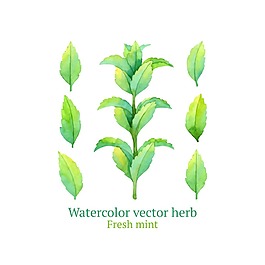 綠色清新葉子插畫