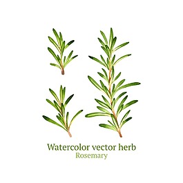 綠色清新植物插畫