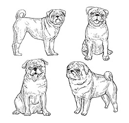 卡通素描狗狗素材