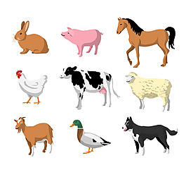 扁平家畜動物素材