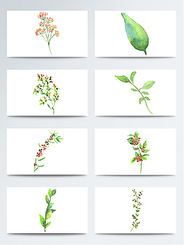水彩簡(jiǎn)約花葉透明素材合集