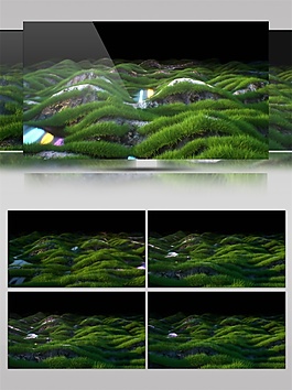 綠色星際草原動態(tài)視頻素材