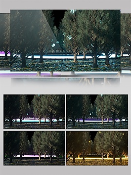 黑夜星光森林動(dòng)態(tài)視頻素材