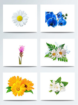 鮮花裝飾素材合集