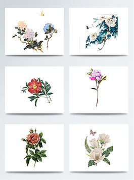 節(jié)日裝飾花朵元素合集