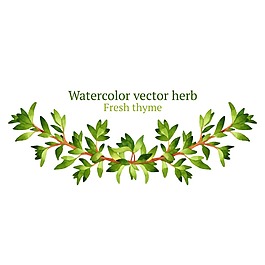 綠色清新植物插畫