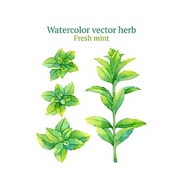 綠色水彩繪清新植物