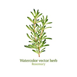 清新綠色時尚手繪植物插畫