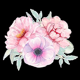 手繪薔薇類型花卉PNG透明素材