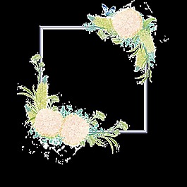 米黃色繡球花框架PNG透明素材