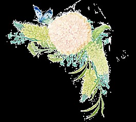 手繪風信子花卉PNG透明素材