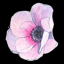 高雅水彩花卉PNG透明素材